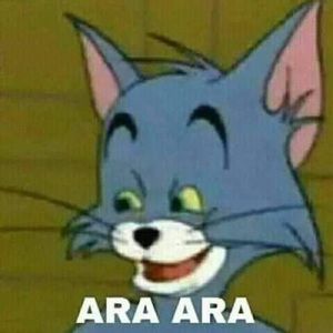 Meet your Posher, Kaylee